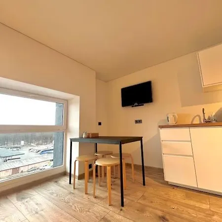 Loft Apartment